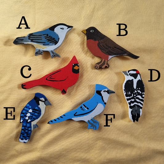 Songbird Magnet Collection